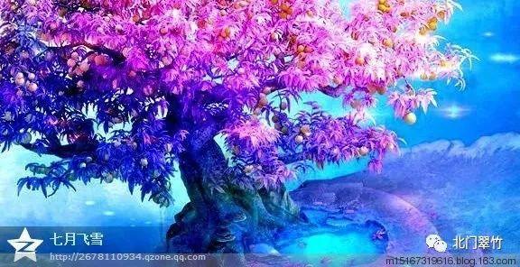 被困的初中生